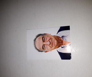 Julio de Ancos