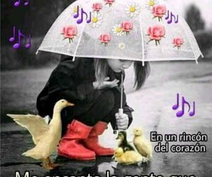 Bienvenida