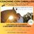Taller coaching y meditación con caballos 