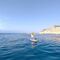 Paddle Surf Coveta Fumá