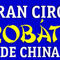 Gran Circo Acrobático de China