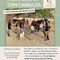 Taller Con Caballos, Arte terapia, Sonoterapia