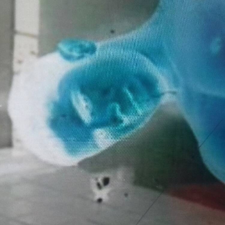 Foto de perfil de Lalo Perez