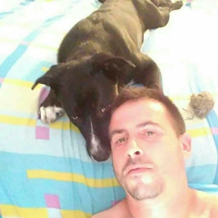 Foto de perfil de Andres