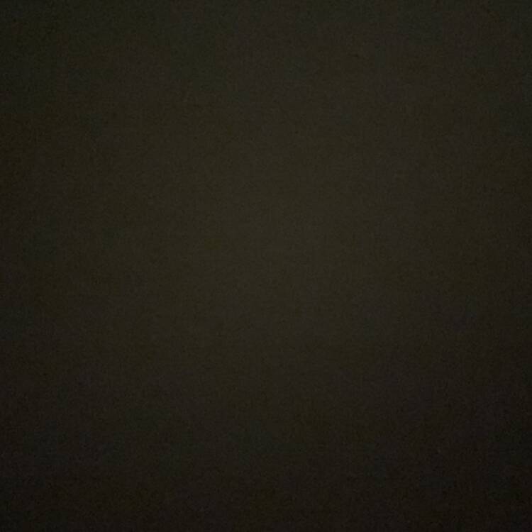 Foto de perfil de Julieta
