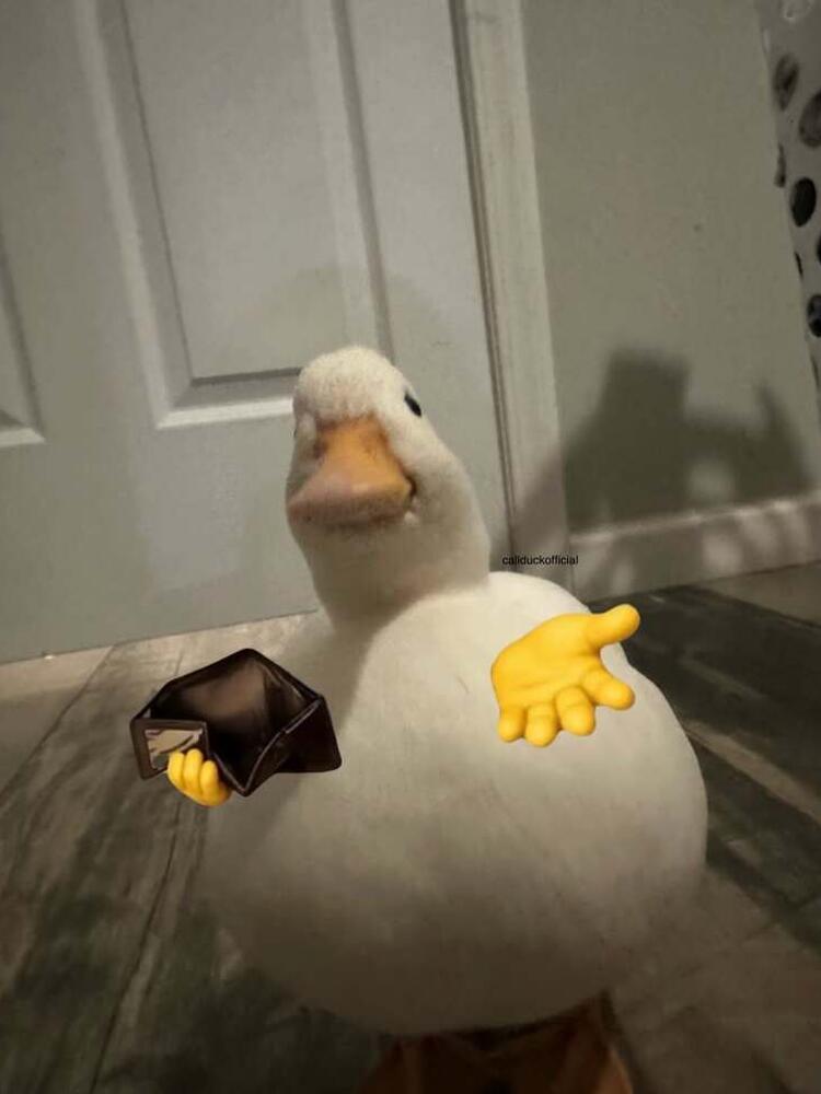 Foto de perfil de Negrito