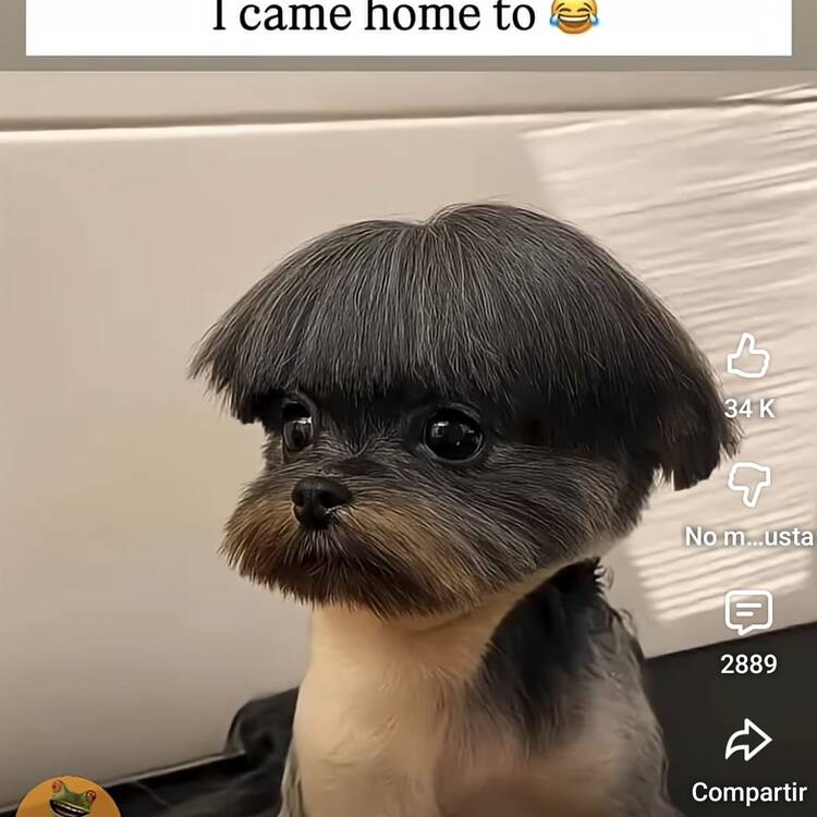 Foto de perfil