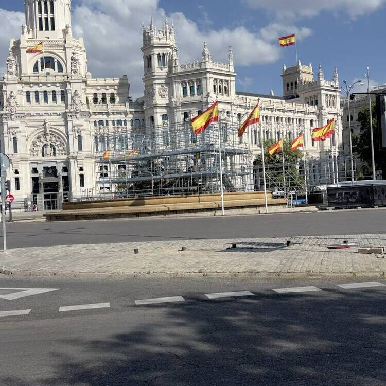 Foto de perfil de Rafa