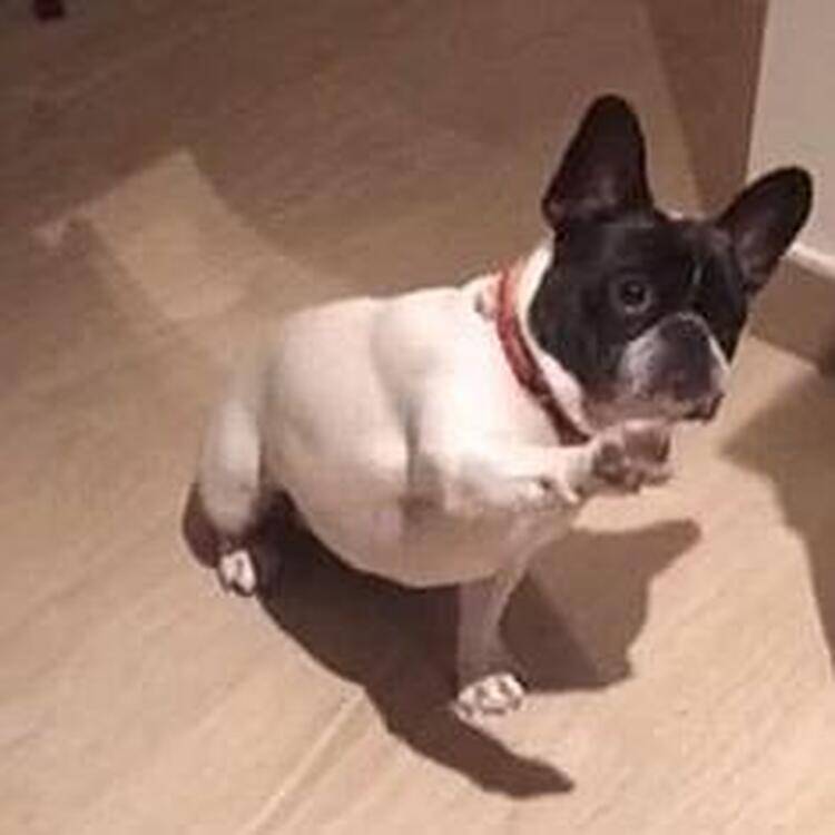 Foto de perfil de Maria