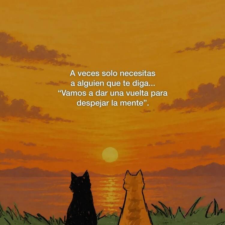 Foto de perfil de Paqui