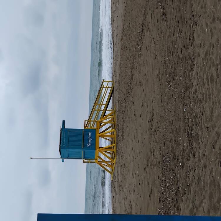 Foto de perfil de Gema