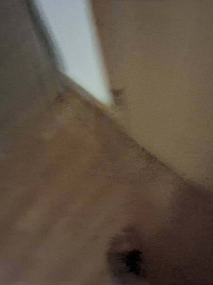 Foto de perfil de Izan