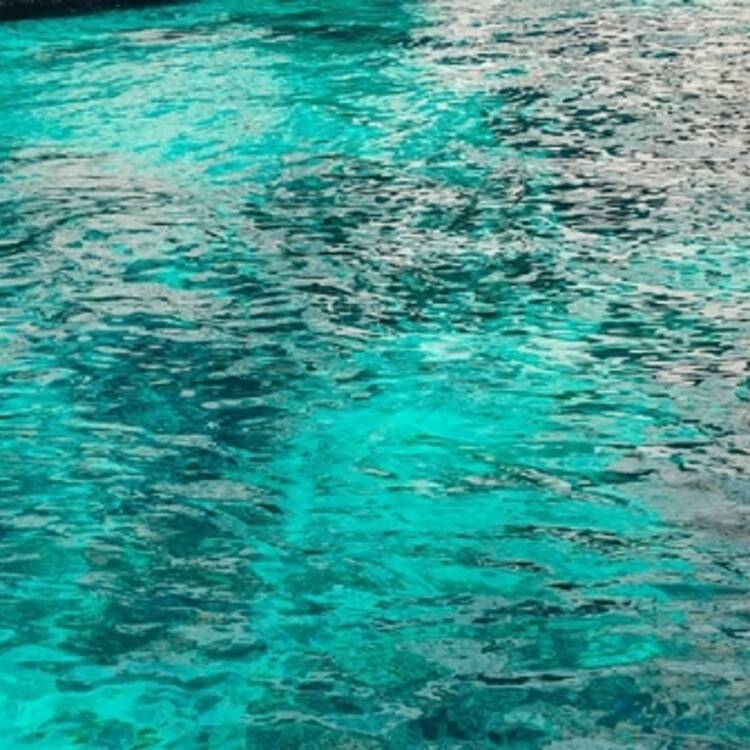 Foto de perfil de Cristina
